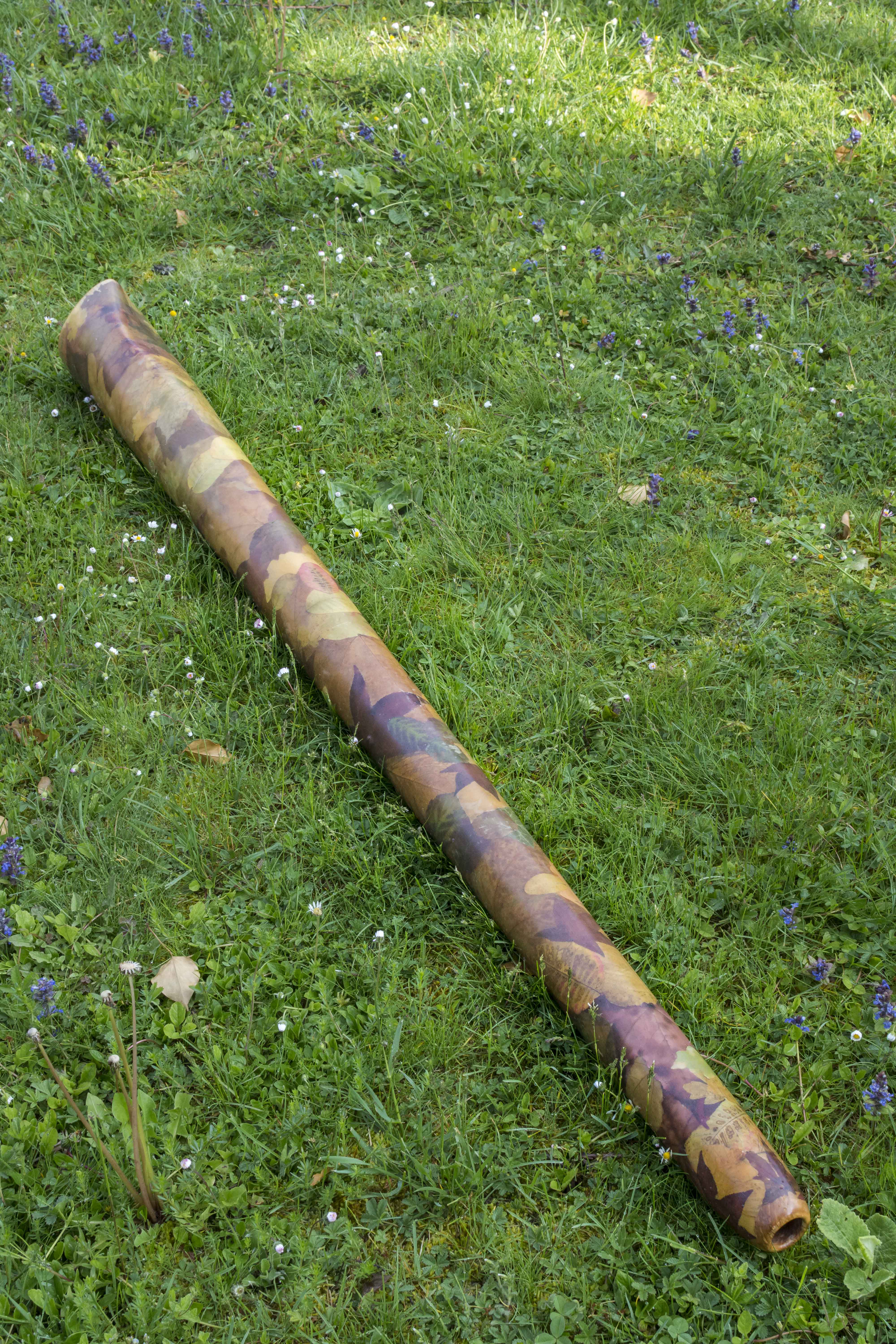 Didgeridoo nommé Hinga, en Do#, tout droit, fabriqué en bois de platane avec incrustation de feuilles d'automne